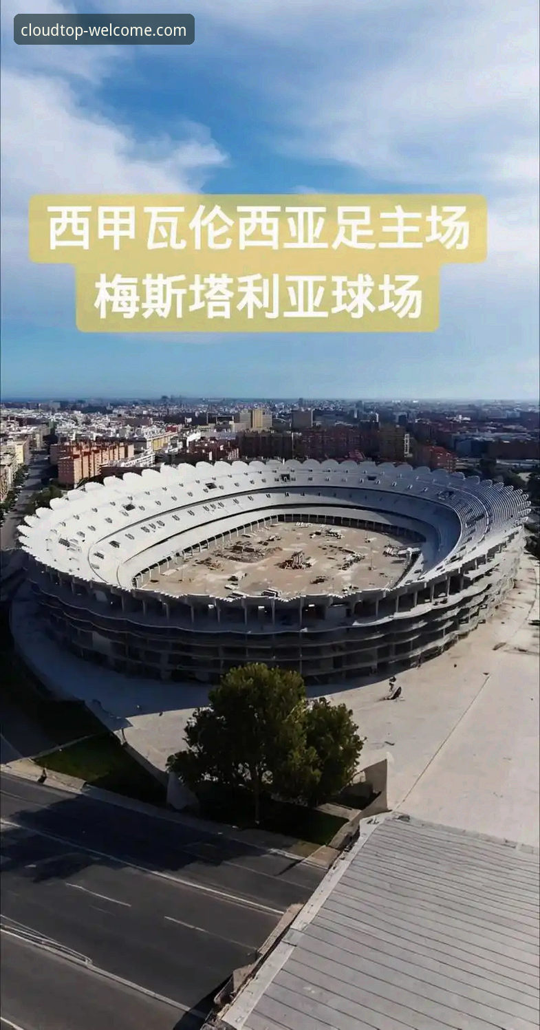 瓦伦西亚保级困局深度分析——从梅斯塔利亚溃败看西甲生存法则